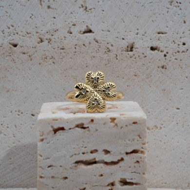 ANILLO Y00052 Acero Inoxidable 2A31