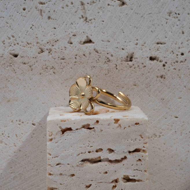 ANILLO Y00056 Acero Inoxidable 2A33