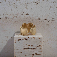 ANILLO Y00061 Acero Inoxidable 2A36