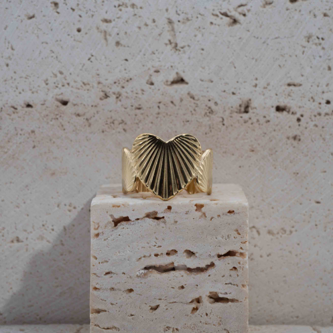 ANILLO Y00061 Acero Inoxidable 2A36