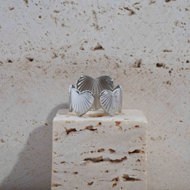 ANILLO Y00061 Acero Inoxidable 2A36