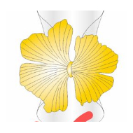 ANILLO ZO10388R150 Dorado Acero Inoxidable -2A54