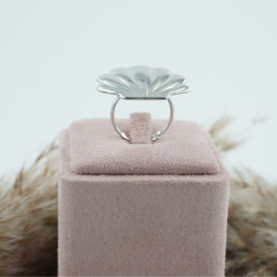 ANILLO ACERO ZO11309R150 /2A35 -2A51