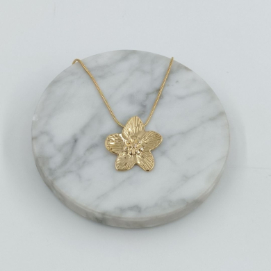 COLLAR Acero ZO11281N250 -2D12