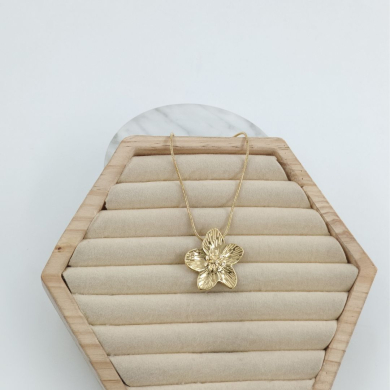 COLLAR Acero ZO11281N250 -2D12