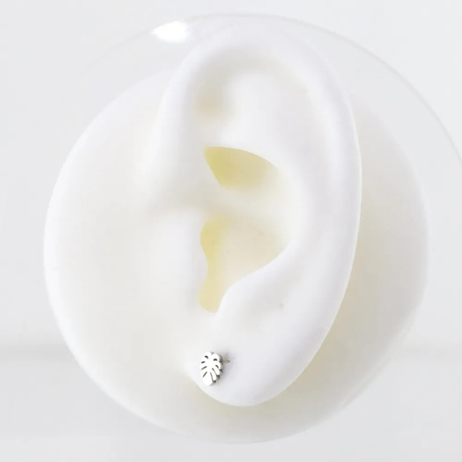 ARETES Acero ZO6093E100 /G11 -F15