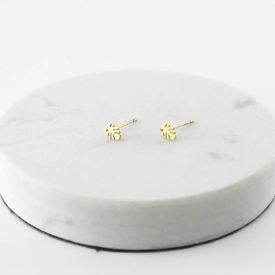 ARETES Acero ZO6093E100 /G11 -F15