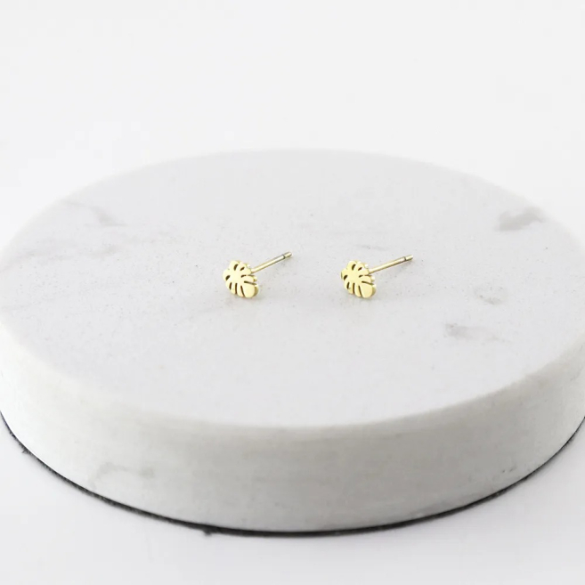 ARETES Acero ZO6093E100 /G11 -F15