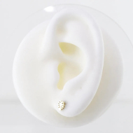 ARETES Acero ZO6093E100 /G11 -F15