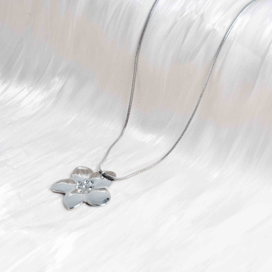 COLLAR ZO11281N250 Plateado Acero Inoxidable -2D12