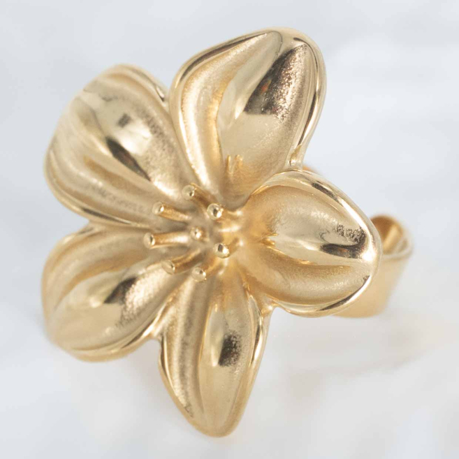 ANILLO Y00085 Acero  Inoxidable -A54