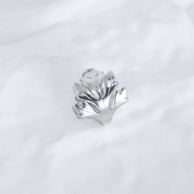 ANILLO ZO10290R150 Plateado Acero Inoxidable -2A25