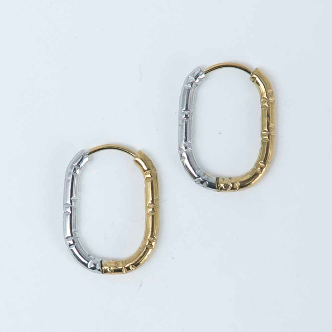 ARETES ZO13047E/16*22MM Bicolor Acero Inoxidable -F43