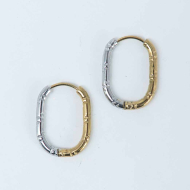 ARETES ZO13047E/16*22MM Bicolor Acero Inoxidable -F43