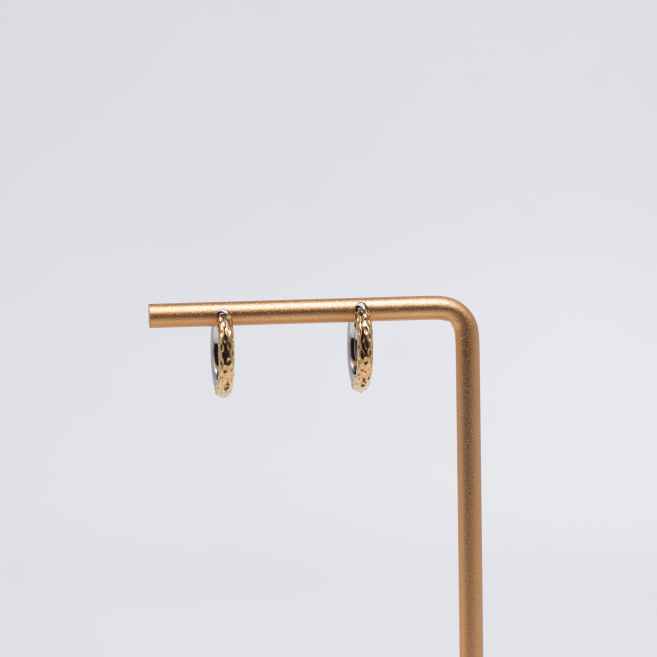 Aretes ZO13027E/2.5*10MM Bicolor Acero Inoxidable