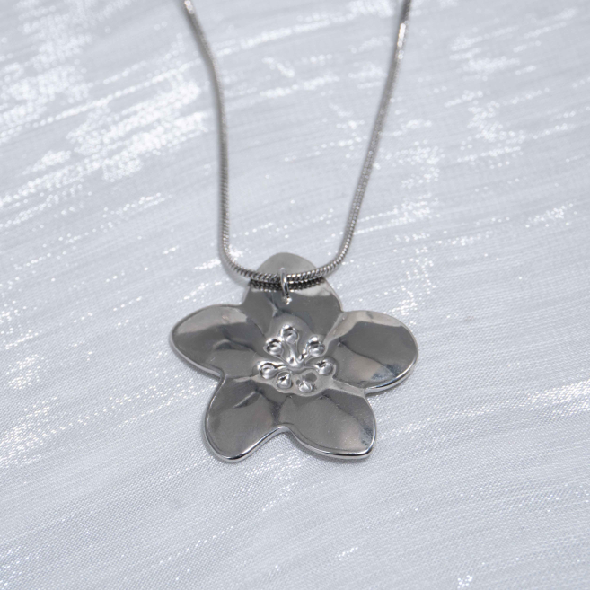COLLAR ZO11281N250 Plateado Acero Inoxidable -2D12