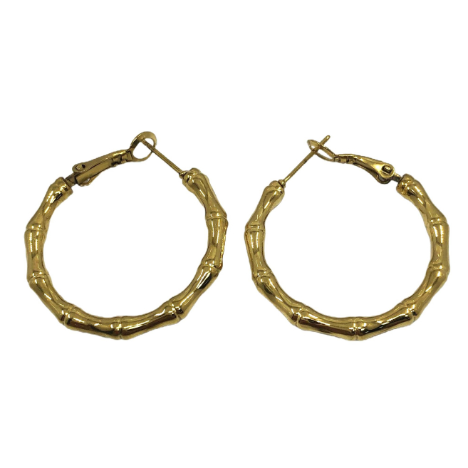 ARETES ZO13049E/2.5*25MM Plateado Acero Inoxidable -F210