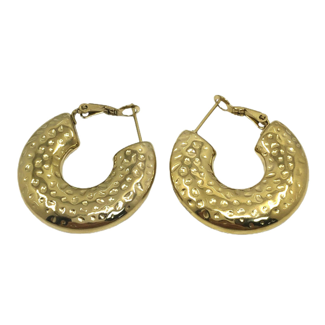 ARETES ZO12956E Plateado Acero Inoxidable -F410