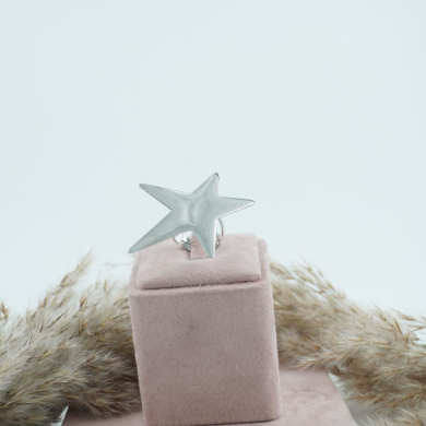 ANILLO Acero Plateado ZO9799R200 -2A52