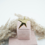 ANILLO Acero Dorado ZO9799R200 -2A52