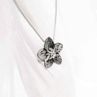 COLLAR ZO11281N250 Plateado Acero Inoxidable -2D12