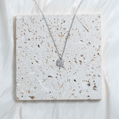 COLLAR ZO13584N Plateado Acero Inoxidable -2D31