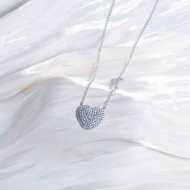 COLLAR ZO12989N Plateado Acero Inoxidable -2D31