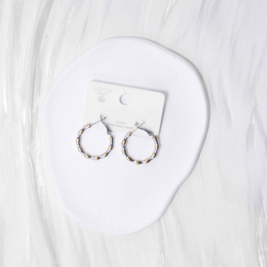 ARETES ZO13049E/2.5*25MM Bicolor Acero Inoxidable -F210