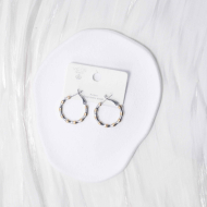 ARETES ZO13049E/2.5*25MM Bicolor Acero Inoxidable -F210