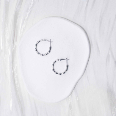 ARETES ZO13049E/2.5*25MM Plateado Acero Inoxidable -F210