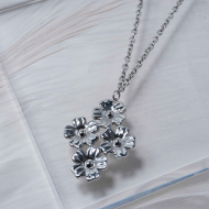 COLLAR ZO13100N Plateado Acero Inoxidable -2D51