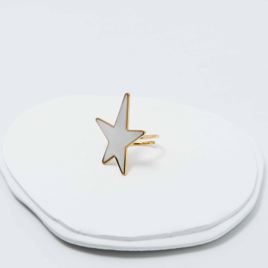 ANILLO ZO12259R250 Acero Inoxidable -2A45