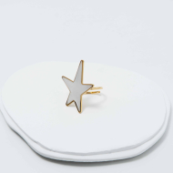 ANILLO ZO12259R250 Acero Inoxidable -2A45