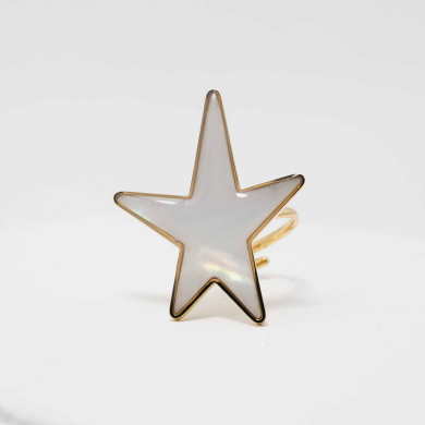 ANILLO ZO12259R250 Acero Inoxidable -2A45