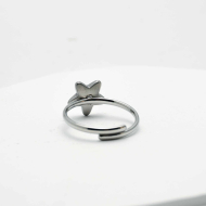 ANILLO ZO13304R Plateado Acero Inoxidable -A11