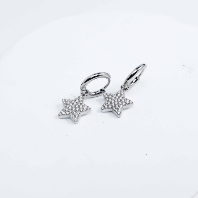 ARETES ZO13589E Plateado Acero Inoxidable -G22