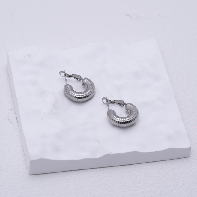 ARETES ZO12951E Plateado Acero Inoxidable -F28