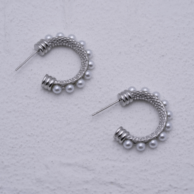 ARETES ZO10875E250 Plateado Acero Inoxidable -F21