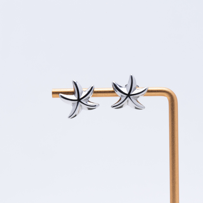 ARETES ZO9593E180 Plateado Acero Inoxidable G33