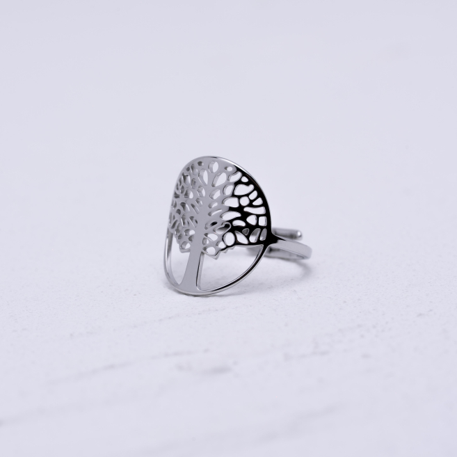 ANILLO ZO13727R Plateado Acero Inoxidable A47
