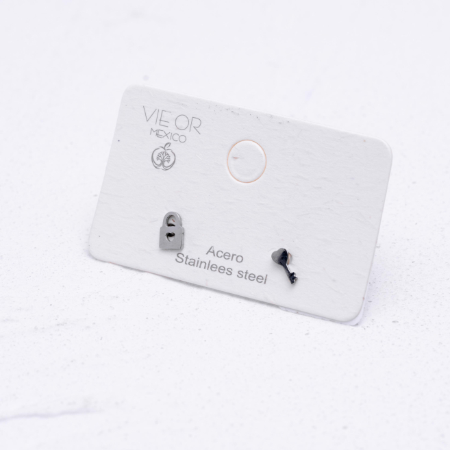 ARETES ZO1203E Plateado Acero Inoxidable G19