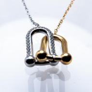 COLLAR ZO13165N Bicolr Acero Inoxidable -2D31