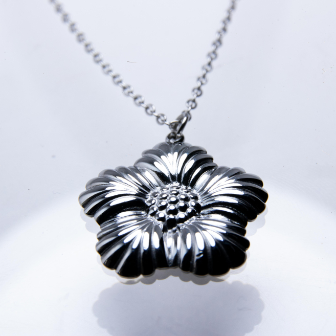 COLLAR ZO956N Plateado Acero Inoxidable -E23