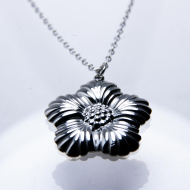 COLLAR ZO956N Plateado Acero Inoxidable -E23