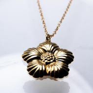 COLLAR ZO956N Dorado Acero Inoxidable -E23