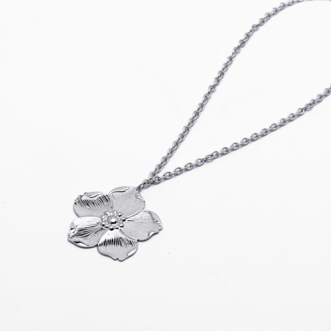 COLLAR ZO13089N Plateado Acero Inoxidable -2D27