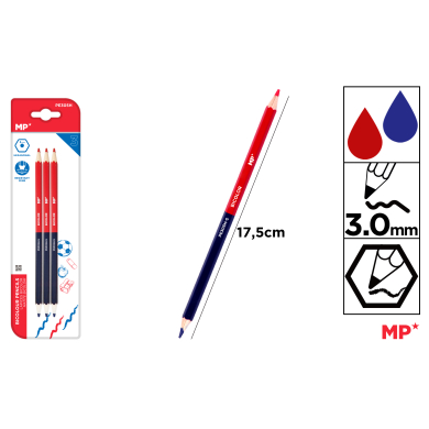 LAPICES BICOLOR FINO HEXAGONAL F21 - F21