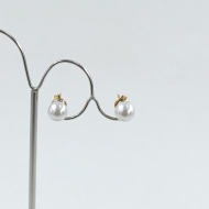 ARETES Acero ZO10586E/8MM/100 /G11 G46