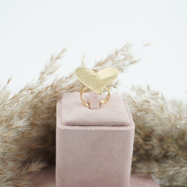 ANILLO ACERO ZO10304R200 2A131 2A54