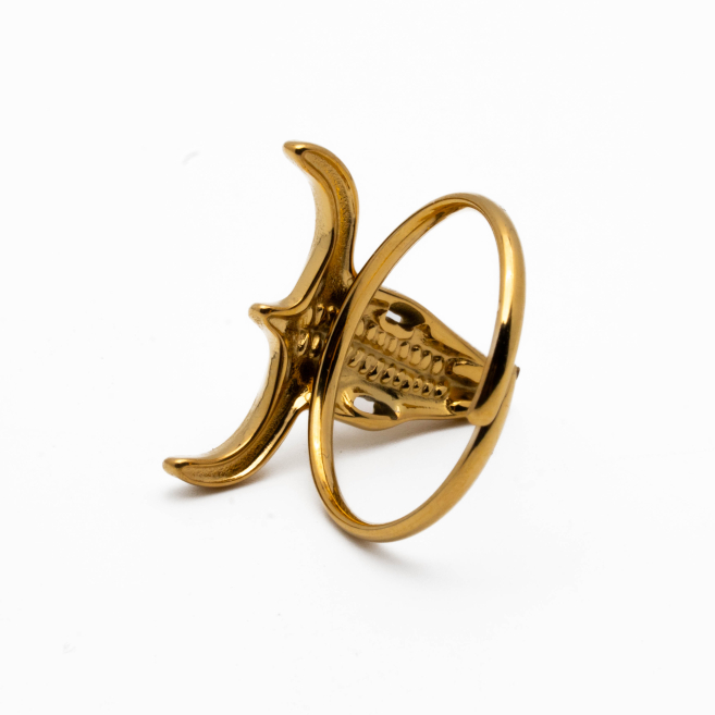 ANILLO Acero ZO10488R180 A510